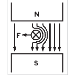 Schema electrică pentru Forța unui conductor parcurs de curent într-un câmp magnetic